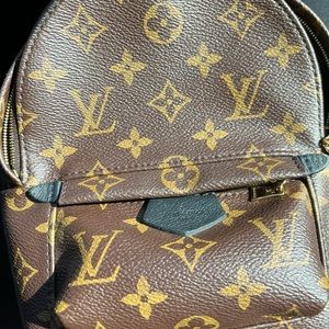 Louis Vuitton Palm Springs Mini
